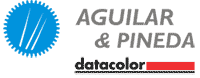 Aguilar & Pineda Asociados S.L.